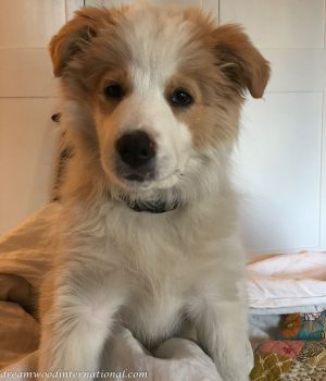 Ted-IMG_4121