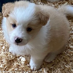 Chloe-IMG_2295