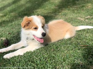 Ted-IMG_4120
