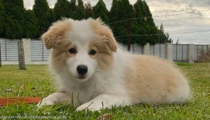 Bonny-IMG_5791