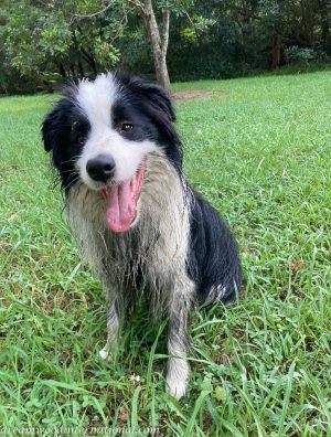 Alfie-IMG_7777