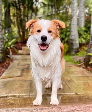 Ted-IMG_7778