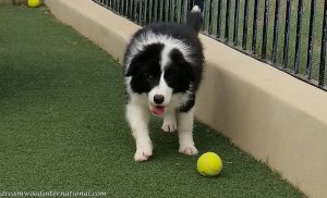 20190425_130910-1-aileen-2