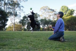 P4250332