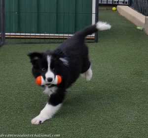20190425_125758-1-bree