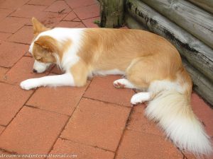 20140301-1_year_old_003-b