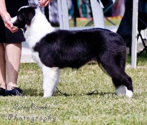 20131001_dreamwood_saintbrigid_stand_6mth