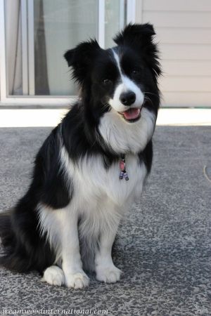 Lexie