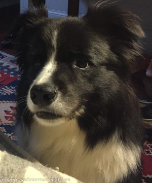 Oscar