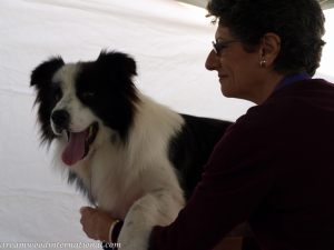 Ciaran-20090329-003
