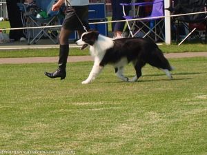 Ciaran-20090418-075