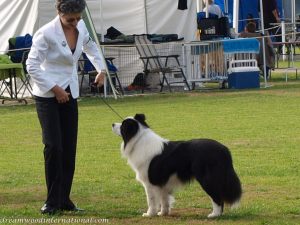 Ciaran-20090628-022