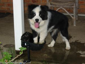 Ciaran20081018_04