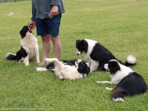 Grooming_Ciaran20090109_04