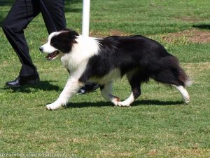 Hawkesbury_crew20090315_10