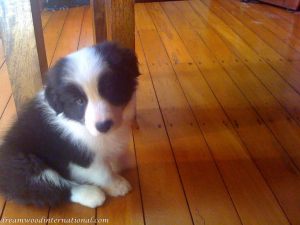 20100916-Day1