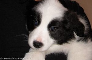 20100917-Proud_mum