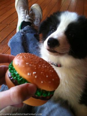 20101016-Burger