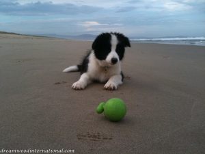 20101113-eyeonprize