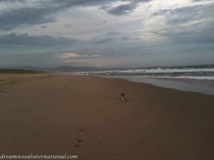 20101113-ocean