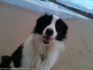 20110612-beach-boy