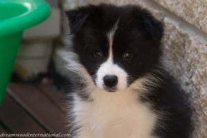 20160117-24431612415_9e6dcfc1d5_k