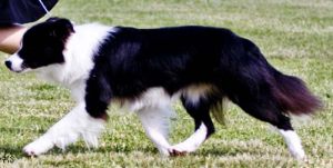 2013-04-enya_run
