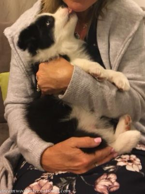 2017-11-07_hallie-cindy