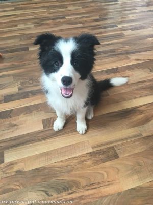 2017-12-13_hallie-cindy-3