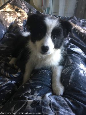 2017-12-13_hallie-cindy