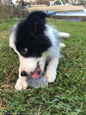 2017-12-24_hallie