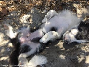 2018-01-06_hallie