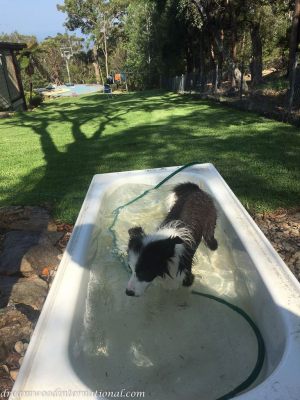 2018-01-12_hallie