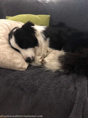 2018-09-26_hallie-cindy