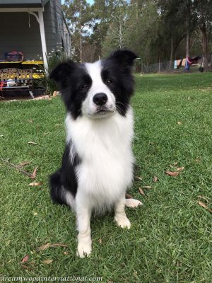 2018-11-26_hallie