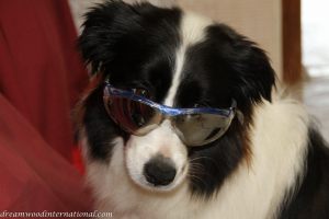 20120329-IMG_8697