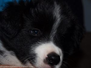 20090313_16-seosamh