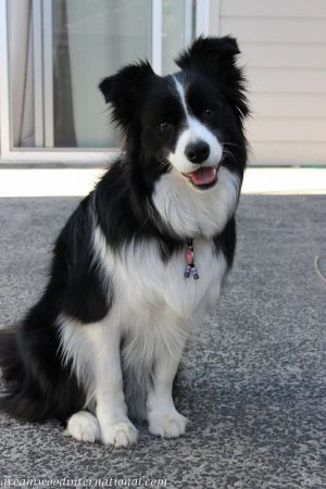 20131025-lexie_pose