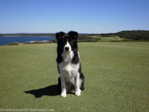 20120323-macy