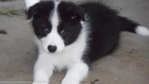 20120207-miles