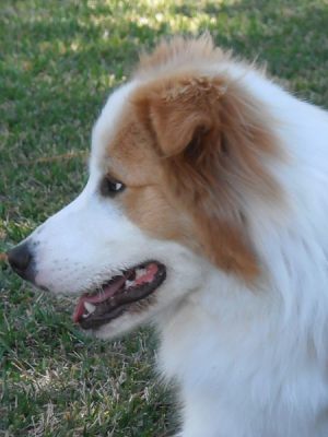 murphy-portrait