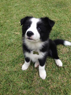 20150102-nahla