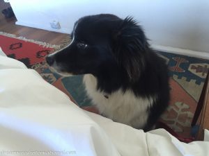 IMG_9711