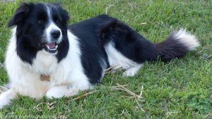 roisin-20090321-010