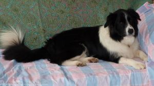 roisin-20090330-025