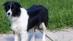 roisin-20090428-001