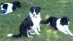 roisin-20090428-007