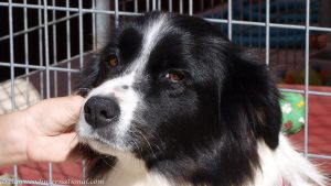 roisin-20090428-020