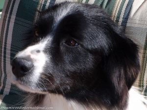 roisin-20090428-031