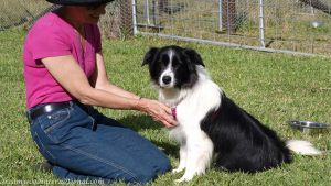 roisin-20090428-040